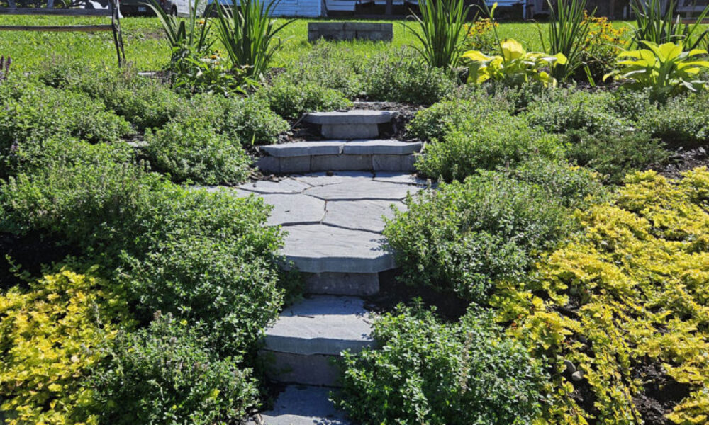 Ancienne-photo-14-Devient-photo-6-1000x600