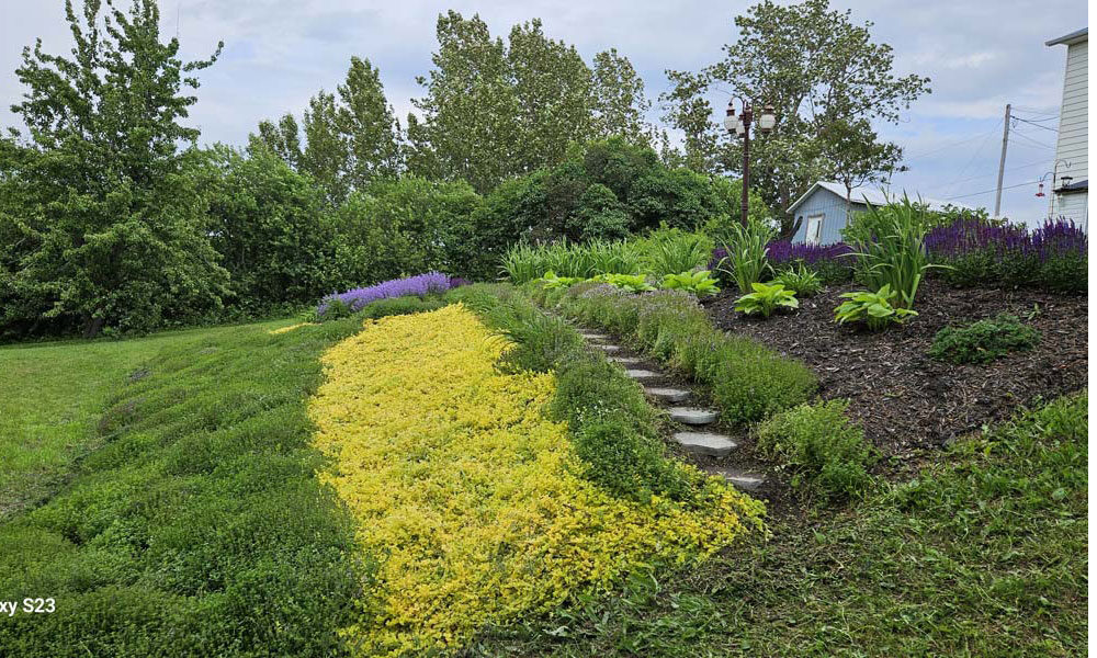 Photo-A-20250630_154814-1000-600