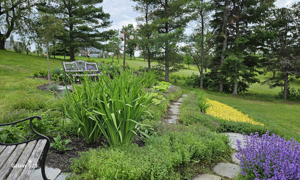 Photo-B-20250630_154923-1000-600