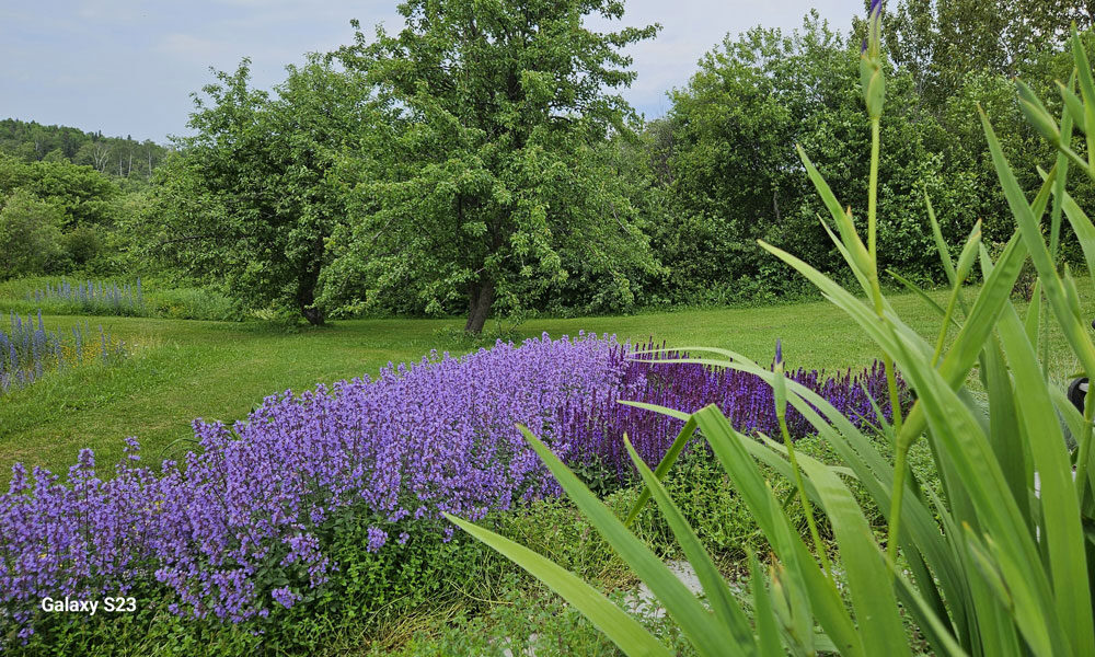 Photo-D-20250630_154649-1000-600