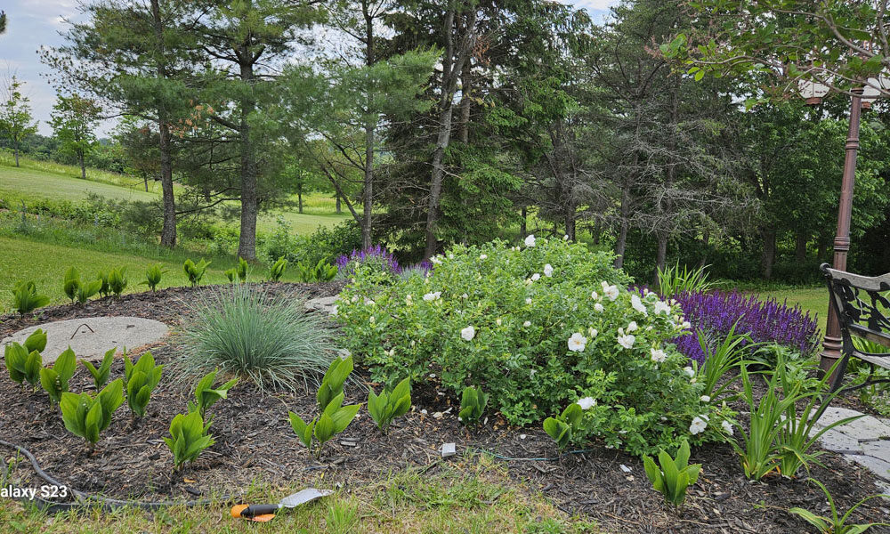 Photo-F-20250630_154738-1000-600