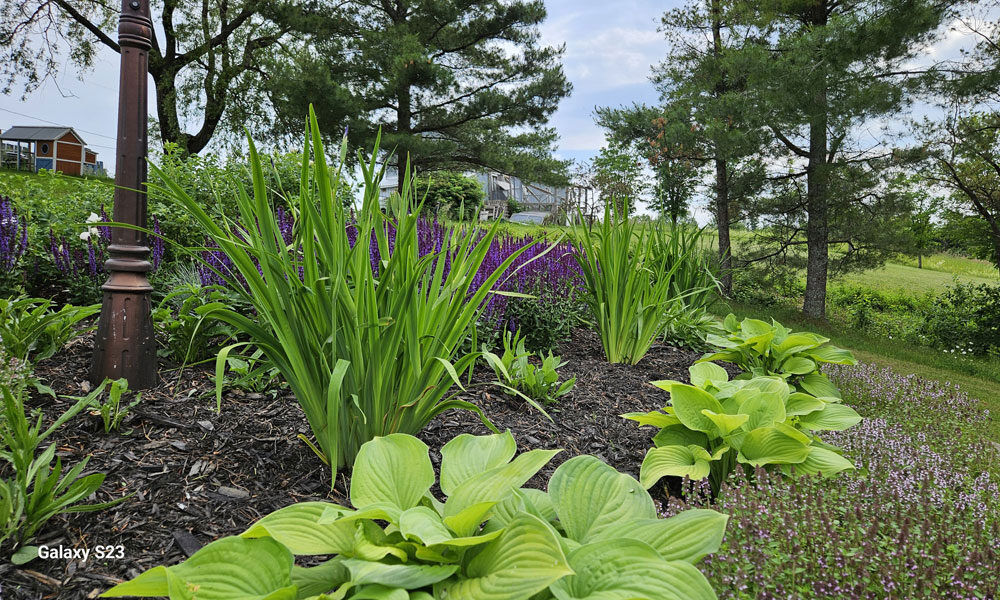 Photo-G-20250630_154623-1000-600