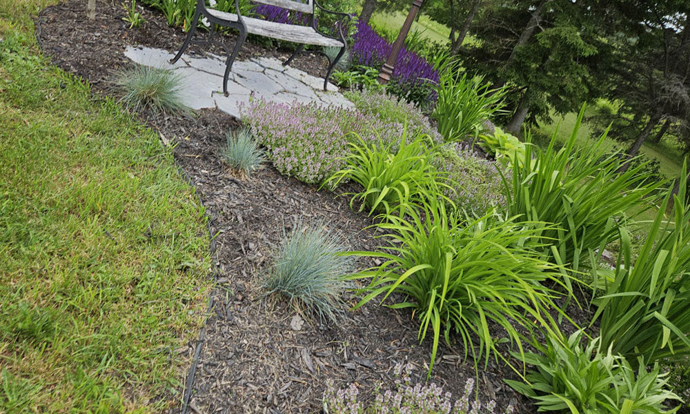 Photo-H-14-20250630_154946_001-1000-600