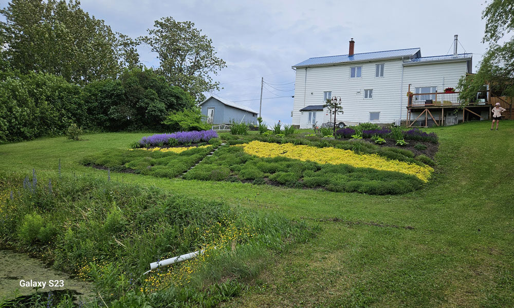 Photo-I-15-20250630_154832-1000-600